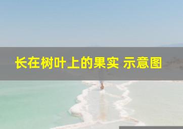 长在树叶上的果实 示意图